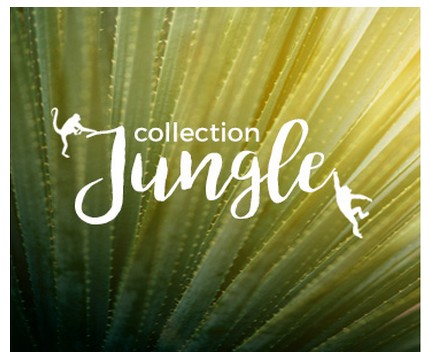 Déco Jungle : invitez insectes et feuillages dans votre intérieur