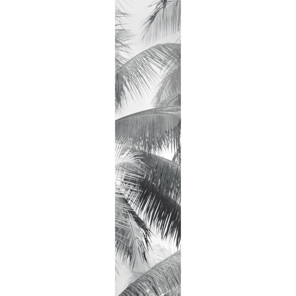 acheter le vertical palmier noir et blanc