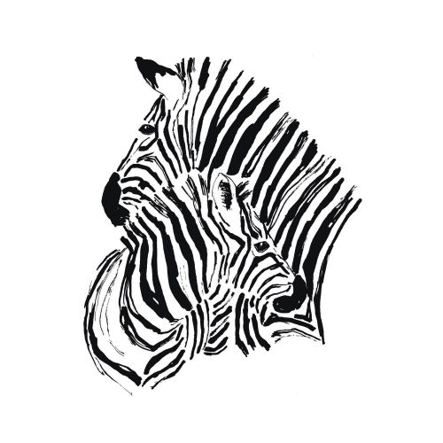 acheter 2 zebre poster 40 x 50