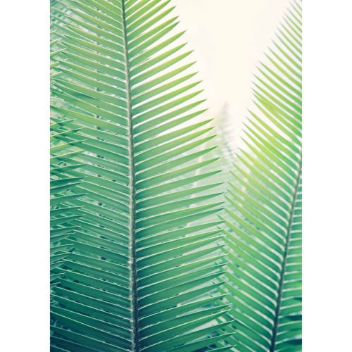 acheter poster 50 x 70 cm papier