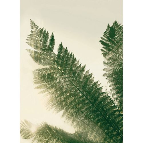 acheter poster en papier 50 x 70 cm