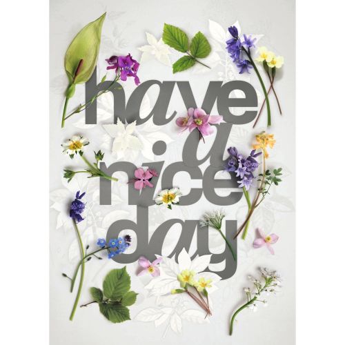 acheter poster funky 50 x 70 papier