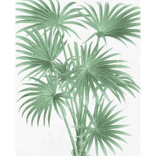 acheter poster papier summer 40 x 50