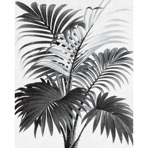 acheter porter 40 x 50 noir blanc palmier