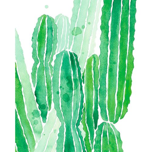 acheter poster 40 x 50 cm cactus vert