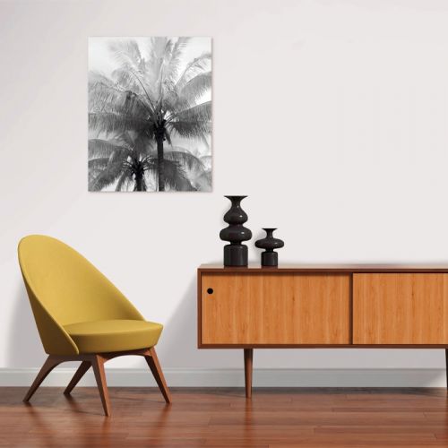 acheter poster rectangulaire palmier 40 x 50