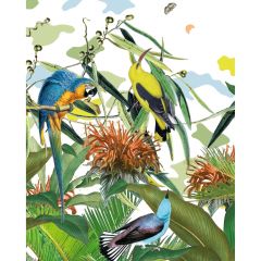 acheter poster papier oiseaux 40 x 50 cm