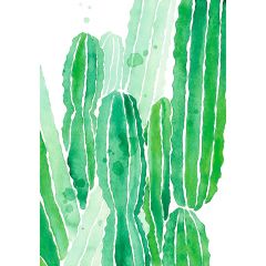 acheter tableau cactus 50 x 70 acrylique