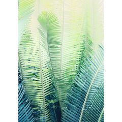 acheter tableau plexi en verre feuille palmier